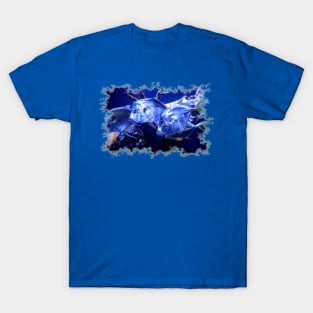 Lookdown Fish T-Shirt